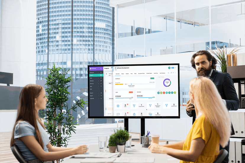 Celoxis Project Management Software to Manage your Projects